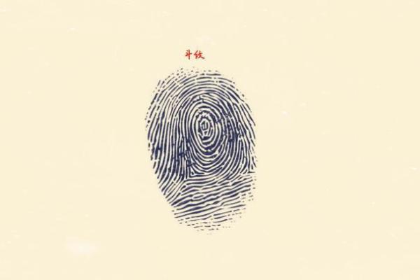 探索女人手中斗的命运与人生的奇妙篇章