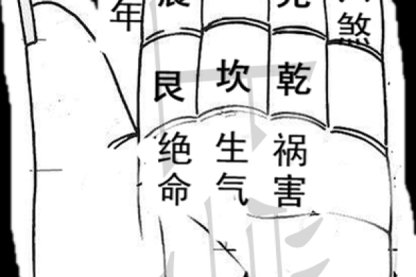 命卦乾卦：探寻西四命的意义与智慧