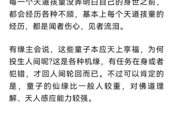 道士命带什么神杀，探索命理与修行的奥秘