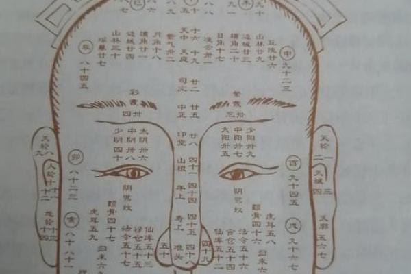 面相与流年：如何通过女人的面相解密命运的变迁？