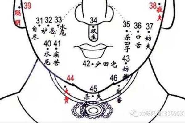 面相与流年：如何通过女人的面相解密命运的变迁？