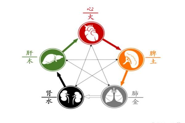 命局缺陷的奥秘：探究五行对性格与命运的影响