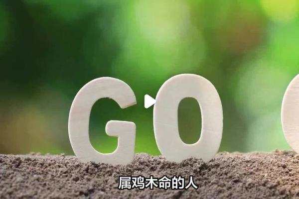 探索命属木的生意之道：适合木命人的创业选择与建议