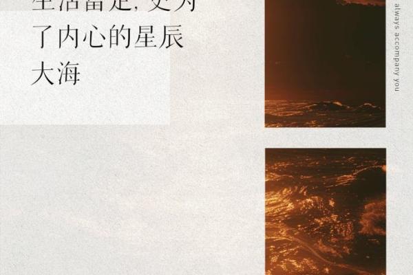 揭开九条二命的神秘面纱，解读其生活智慧与实用价值