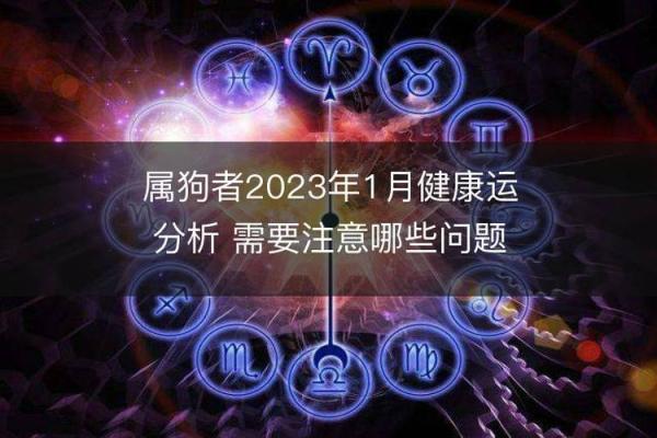 探索1997年8月14日出生者的命运与个性特征
