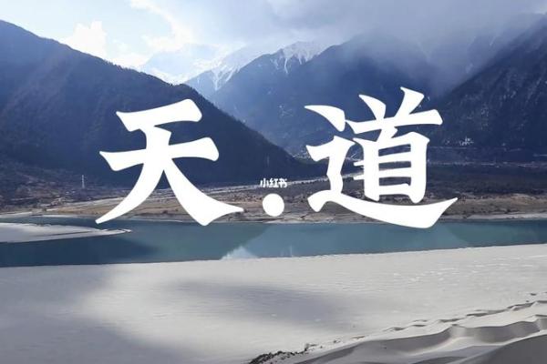 命格中的鬼谷子：智慧与灵性的深度解析