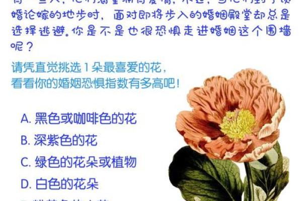40岁克婚的命理解析：命运中的婚姻挑战与应对策略