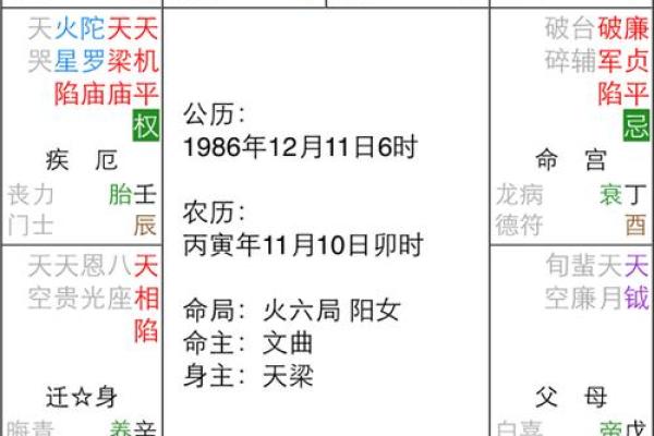 禄存身之天梁：揭示命主的状态与人生机遇