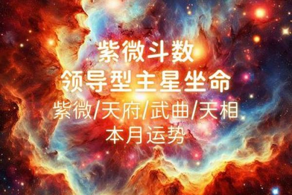 揭秘命宫28金的奥秘：探索运势与人生的神奇力量