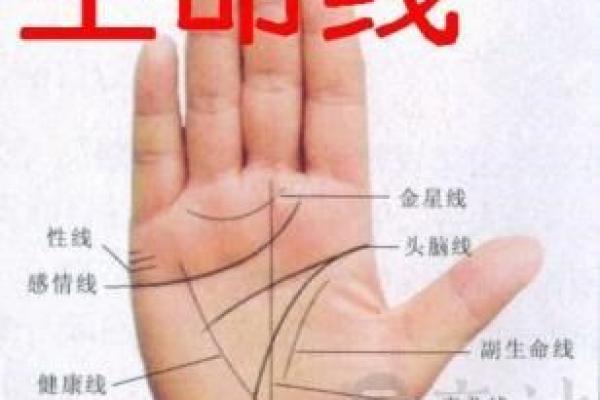 路旁土命命理解析：喜好与人生方向的智慧之路