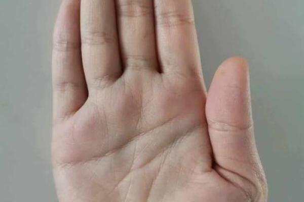 男的清秀命——揭示面相与命运的千丝万缕关系