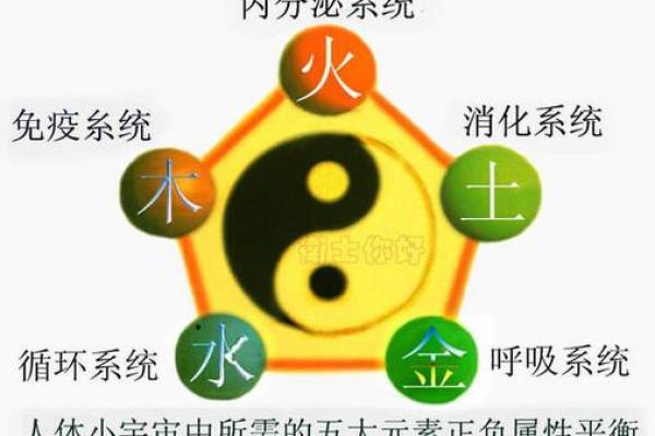炉中火命与相克命之间的微妙关系探讨