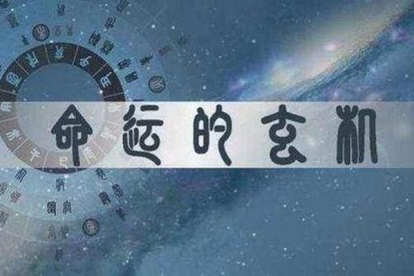 木命与匹配最佳命理分析：深度探讨五行相生的奥秘