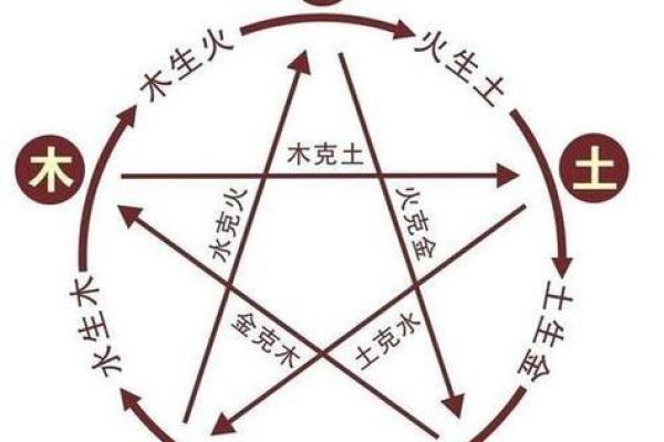 探寻女木命与其他命格的最佳搭配，开启人生奇遇之旅