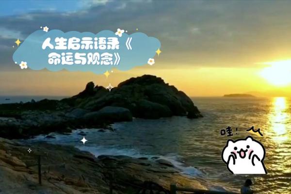 命运三分：上中下等与人生的启示