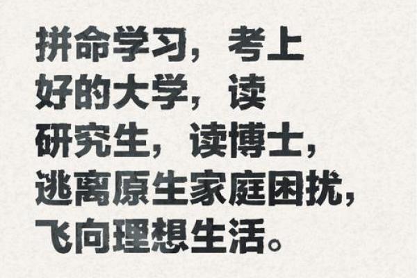 命运三分：上中下等与人生的启示