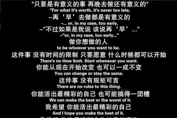 忙命天涯：在人生旅途中不断追寻的冒险与意义