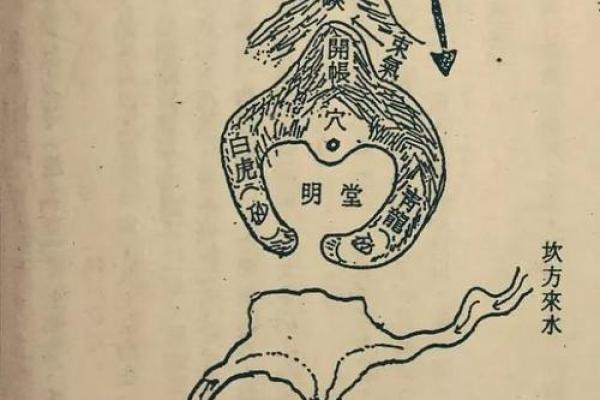 龙入首：命理中的神秘象征与人生意义