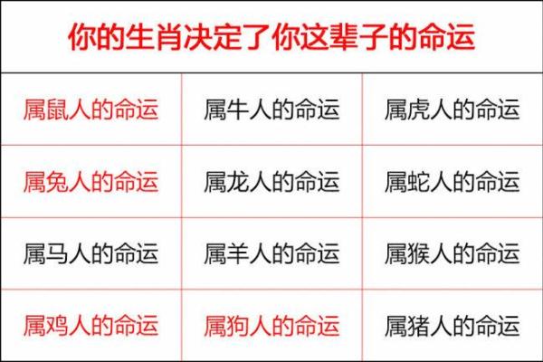 七岁命格揭秘：探讨七岁命理教给我们的智慧与人生启示