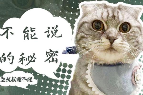 命运的秘密：揭秘那些命还挺大的人是什么命！