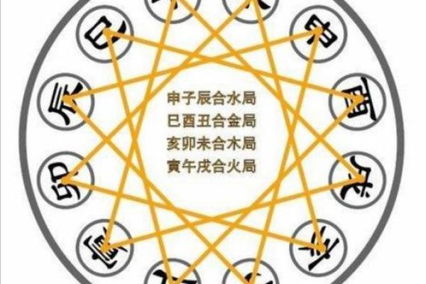 木猪命与哪些命相配？探寻最佳命理组合的秘密！