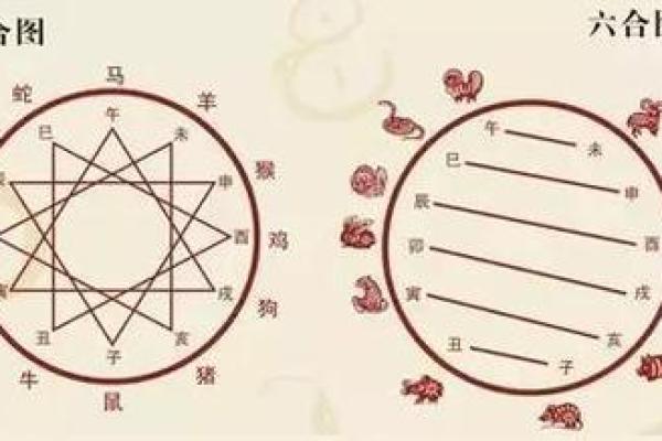 木猪命与哪些命相配？探寻最佳命理组合的秘密！