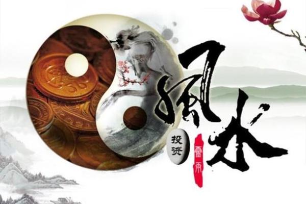 大葱命：揭开生活与命运的哲学之门