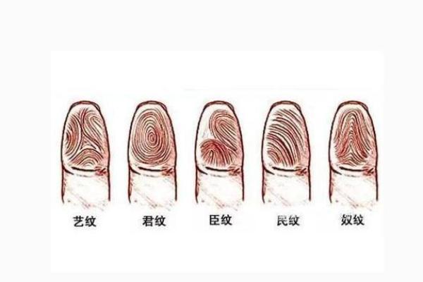 探秘拇指头的圆润命格，揭示你内心深处的智慧与潜力