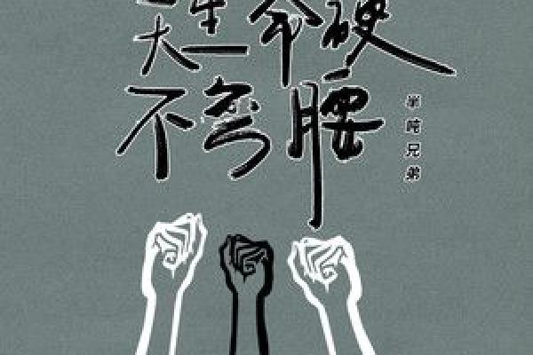 两兄弟命硬：逆境中的坚韧与坚持