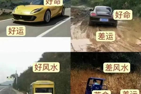 木命与哪些命最合财运，如何寻求财富运势提升？
