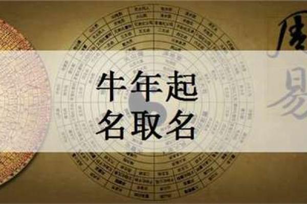 牛年男孩命理解析：如何塑造未来的性格与运势？