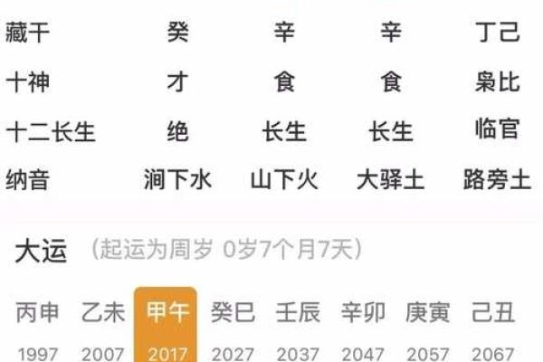 透过命局与大运，揭开人生的财富与机遇之谜