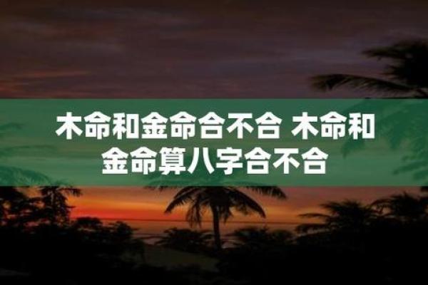 木命、金命、土命：解密八字命理中的三大元素之美