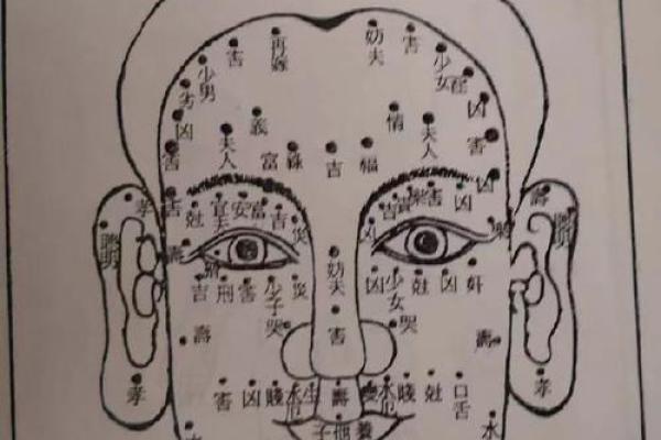 木命、金命、土命：解密八字命理中的三大元素之美