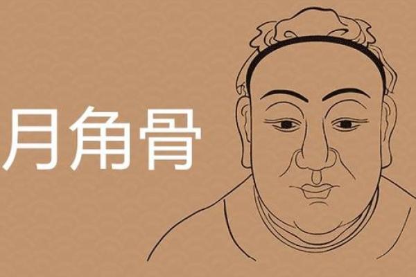 揭秘六月初二的命运特征与人生智慧