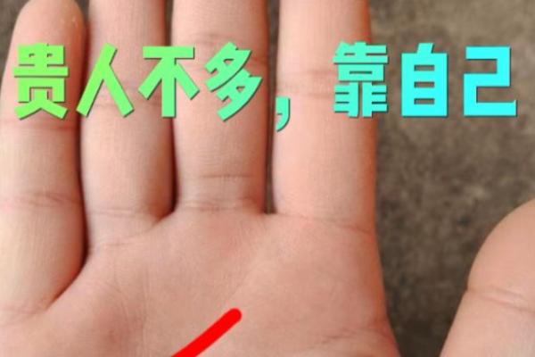 揭开手相的神秘面纱：通过手相了解命运的奥秘