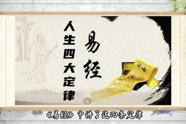 明年兔年与后年龙年的命理解析：探究命运的奥秘与人生的选择