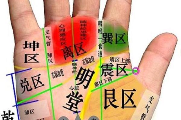 命理线解析：了解你手中的命运密码，揭示生活的奥秘与潜能