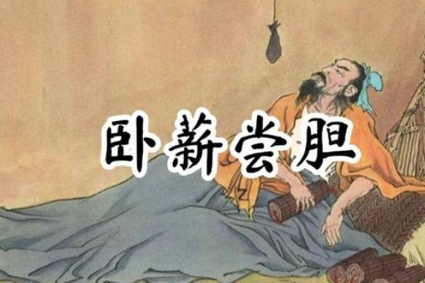 命不是命，人生的选择与自我价值的探索