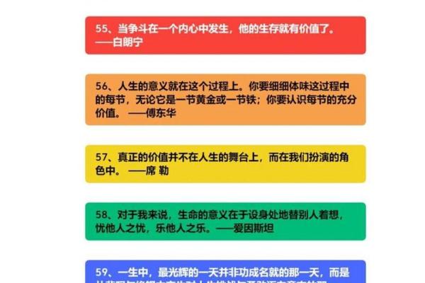 命不是命，人生的选择与自我价值的探索