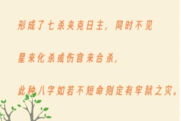 男命七杀：命理中的狂野与挑战，象征着飞跃与蜕变的力量