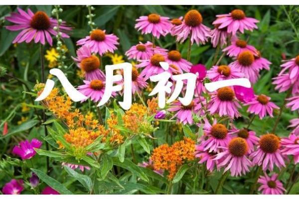 明年八月初一的命运解析：五行与星象的奇妙交织