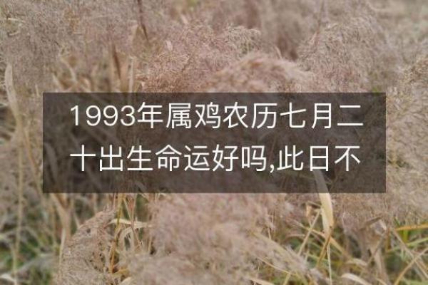 探寻农历七月出生者的命运与性格特征