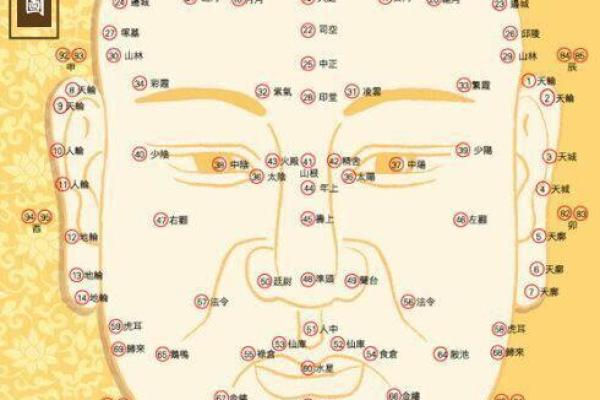 美人尖的男命解析：揭秘你人生的独特路径与运势