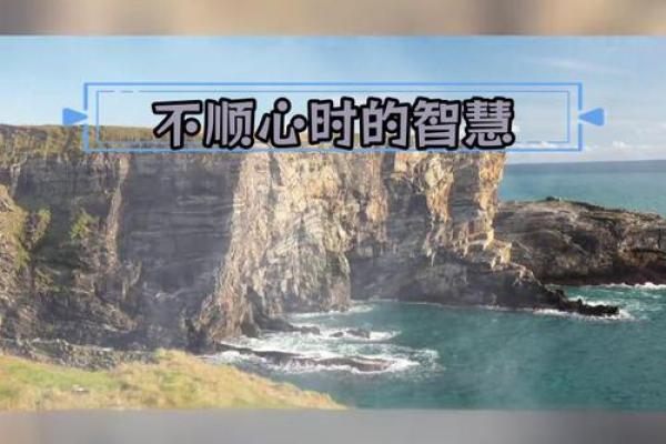没有爱情的命，如何走出人生的低谷？