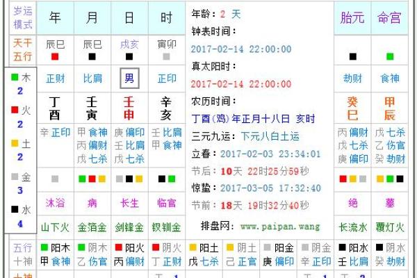2024年虎宝宝命理解析：适合的五行与待注意事项