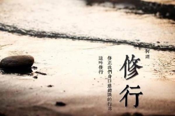 命坐孤独的深刻启示：在孤独中发现自我与生命的意义