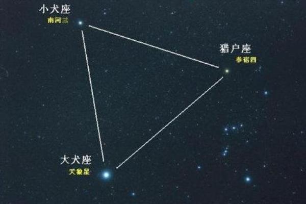 命带天狼与天像的深刻寓意：探索个人命运与星象的奥秘