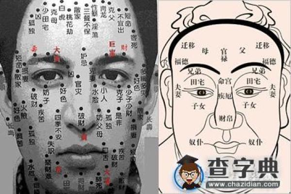 揭秘：男人面相如何影响妻子的命运与财富