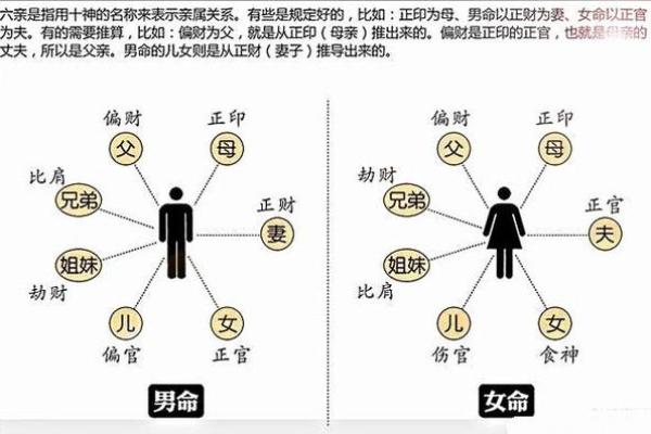 探秘克父母的命运：如何影响我们的生活与选择